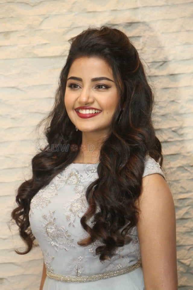 Malayalam Actress Anupama Parameswaran New Pictures