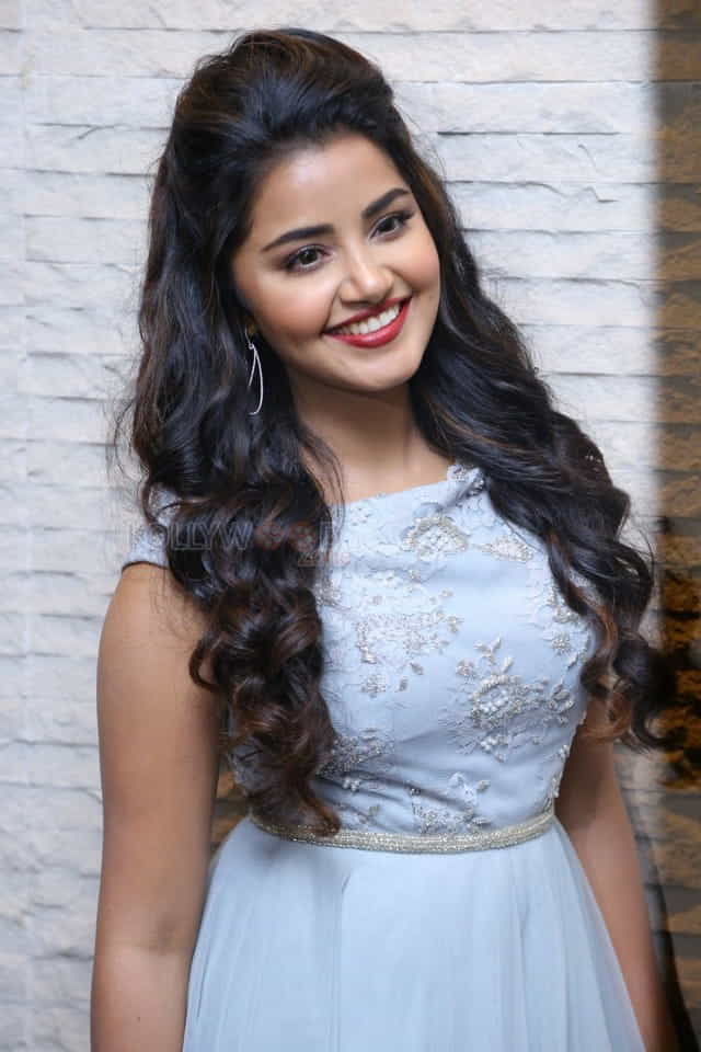 Malayalam Actress Anupama Parameswaran New Pictures