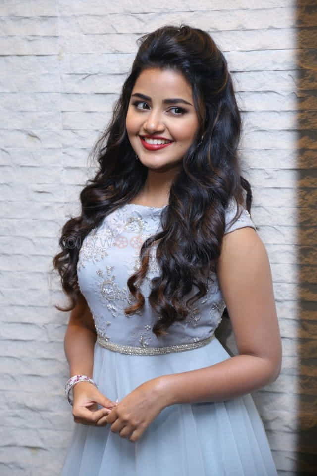 Malayalam Actress Anupama Parameswaran New Pictures