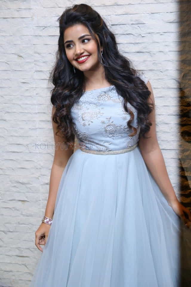 Malayalam Actress Anupama Parameswaran New Pictures