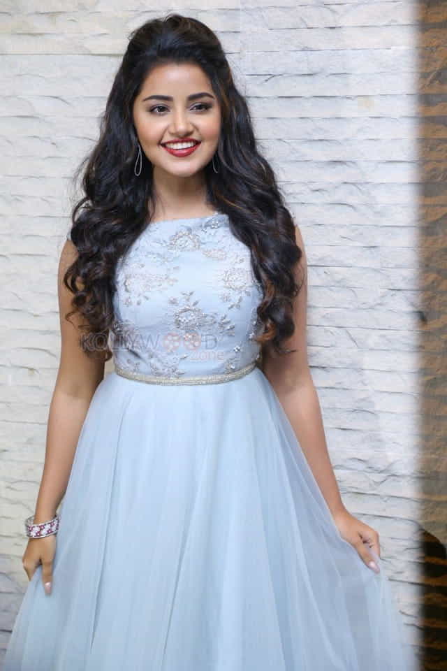 Malayalam Actress Anupama Parameswaran New Pictures