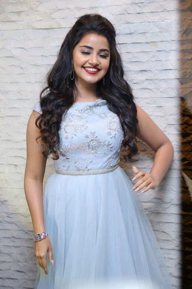 Malayalam Actress Anupama Parameswaran New Pictures