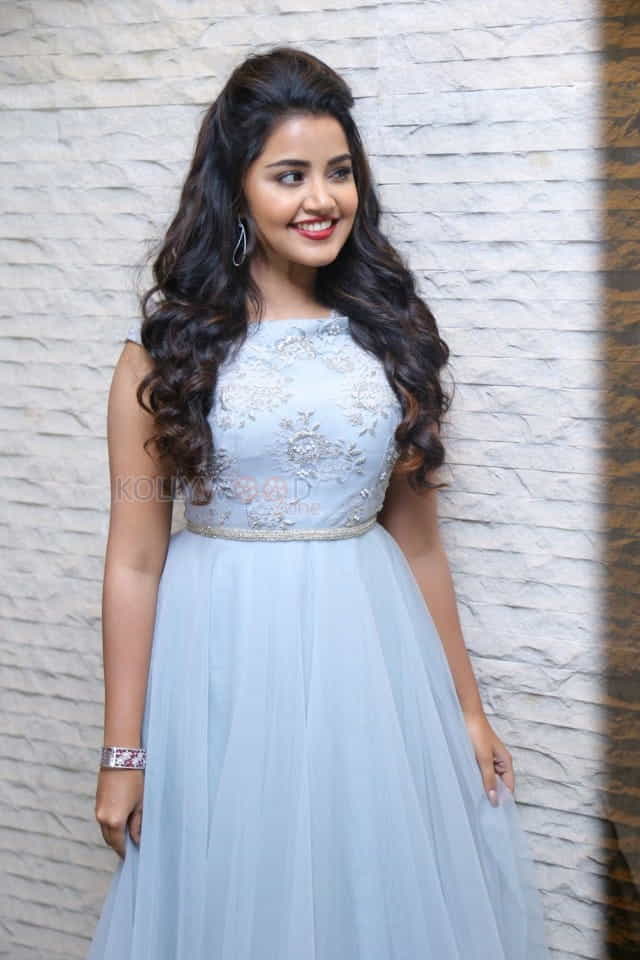 Malayalam Actress Anupama Parameswaran New Pictures