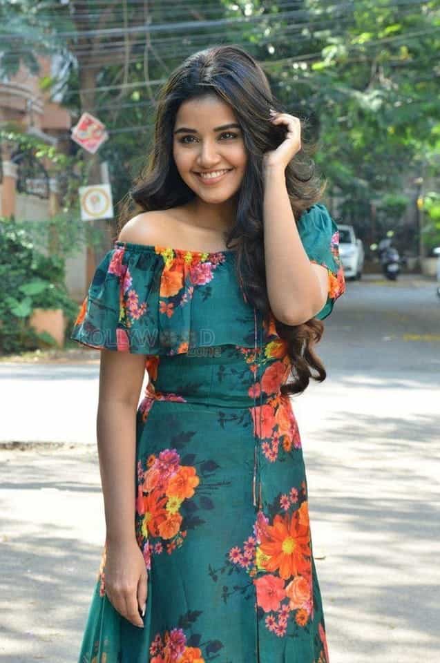 Mallu Actress Anupama Parameswaran New Photos