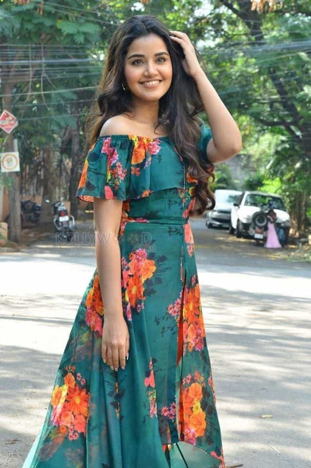 Mallu Actress Anupama Parameswaran New Photos