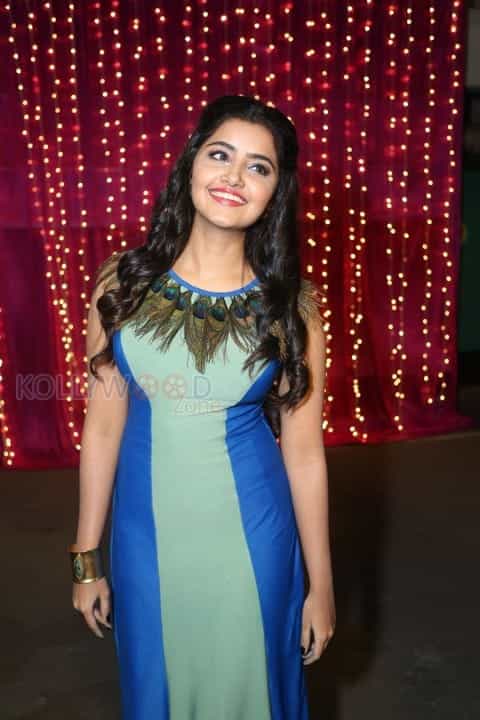 Mallu Actress Anupama Parameswaran Pics