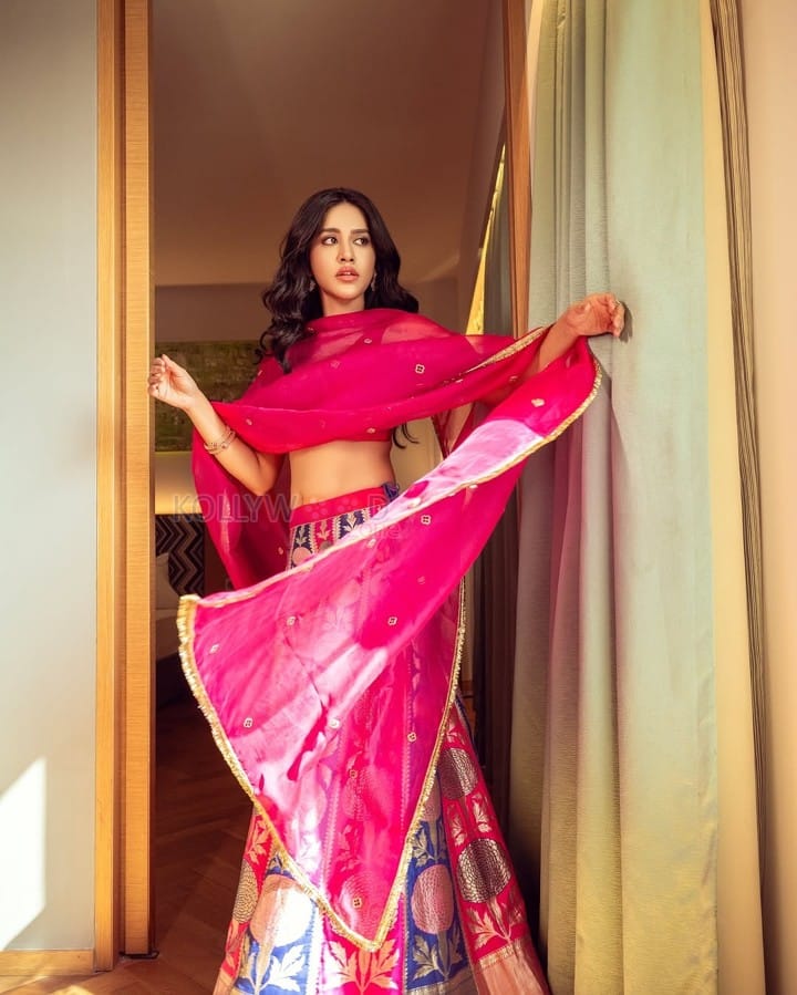 Mesmerizing Nabha Natesh in a Traditional Pink Ethnic Lehenga Photos 02