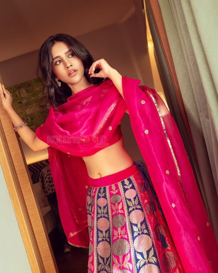 Mesmerizing Nabha Natesh in a Traditional Pink Ethnic Lehenga Photos 05