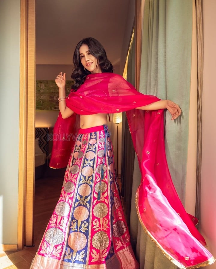 Mesmerizing Nabha Natesh in a Traditional Pink Ethnic Lehenga Photos 06