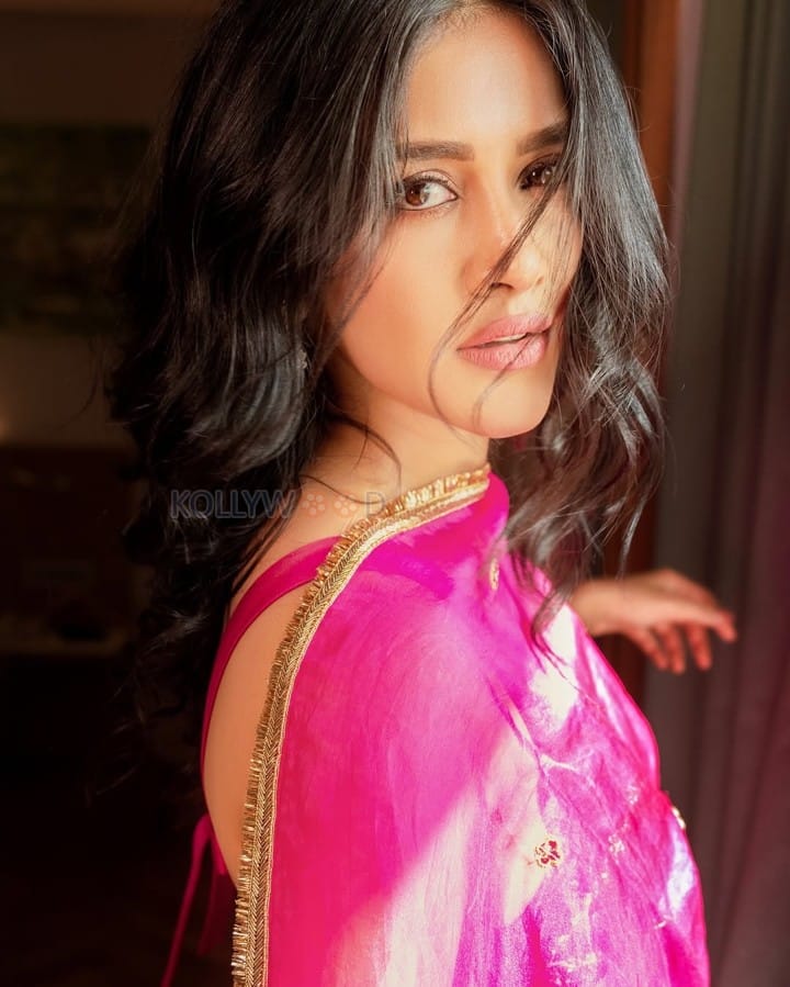 Mesmerizing Nabha Natesh in a Traditional Pink Ethnic Lehenga Photos 09