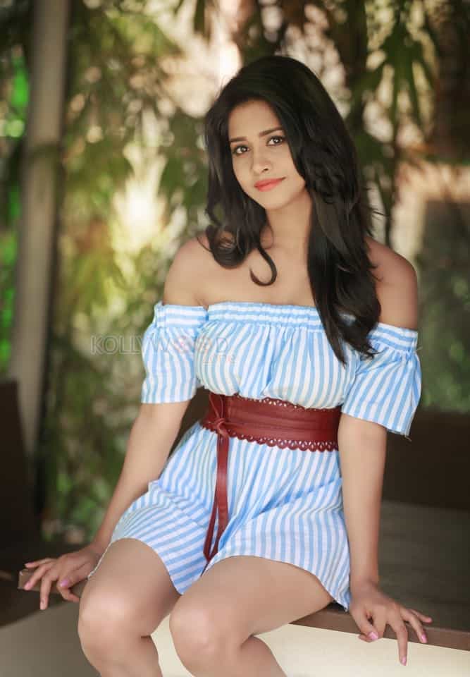 Nannu Dochukunduvate Actress Nabha Natesh Photoshoot Pictures