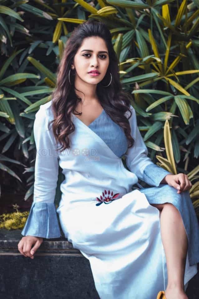 Nannu Dochukunduvate Heroine Nabha Natesh Photos