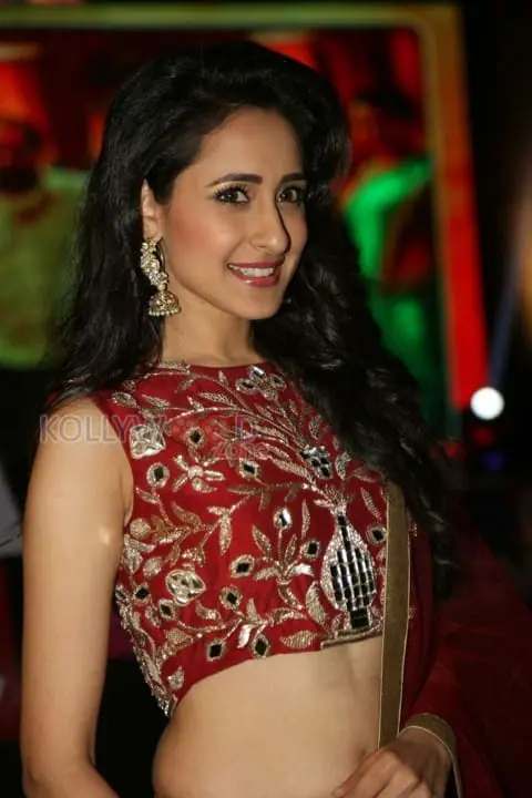 Pragya Jaiswal Beautiful Navel Pictures 14 (78411) | Kollywood Zone