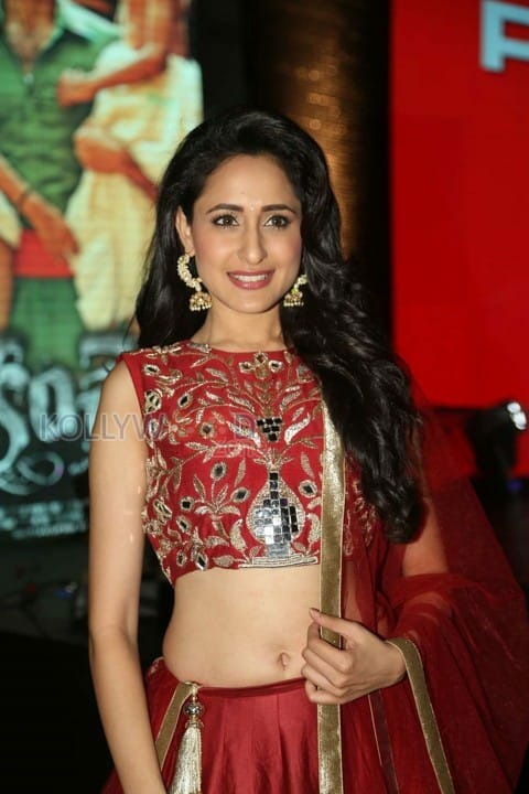 Pragya Jaiswal Beautiful Navel Pictures