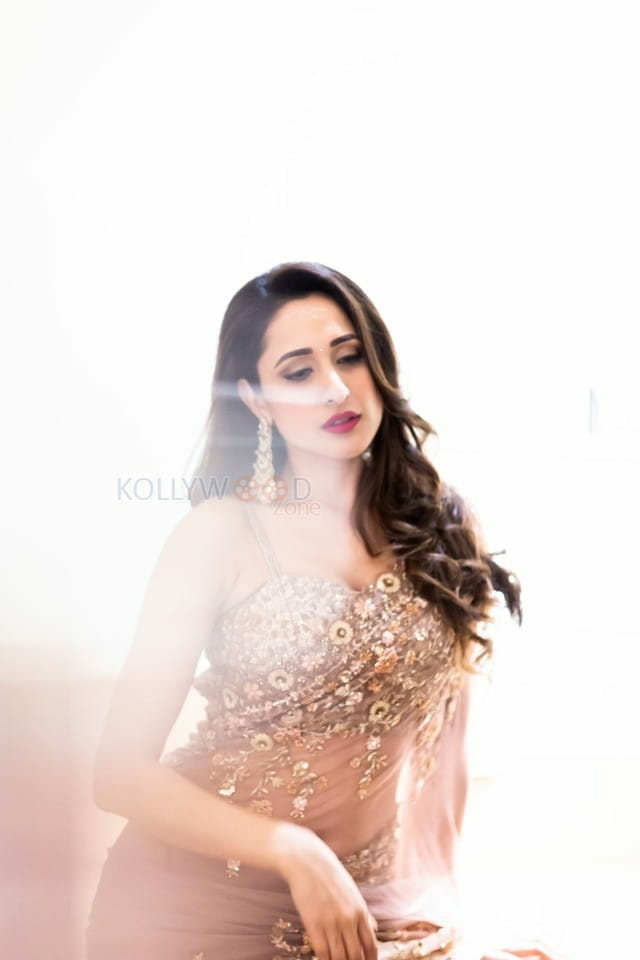 Pragya Jaiswal Hot Saree Photoshoot Pictures