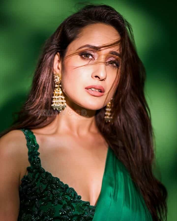 Pragya Jaiswal Hot in Green Saree Photoshoot Stills 05