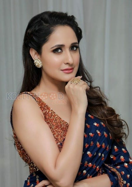 Pragya Jaiswal Sexy Saree Pictures