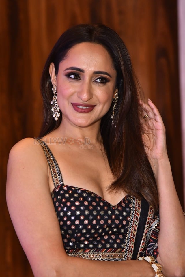 Pragya Jaiswal at Daaku Maharaaj Blockbuster Press Meet Pictures 10