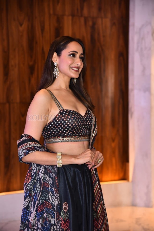 Pragya Jaiswal at Daaku Maharaaj Blockbuster Press Meet Pictures 20