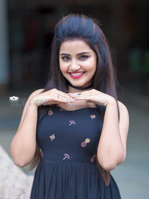 Pretty Actress Anupama Parameshwaran Photos