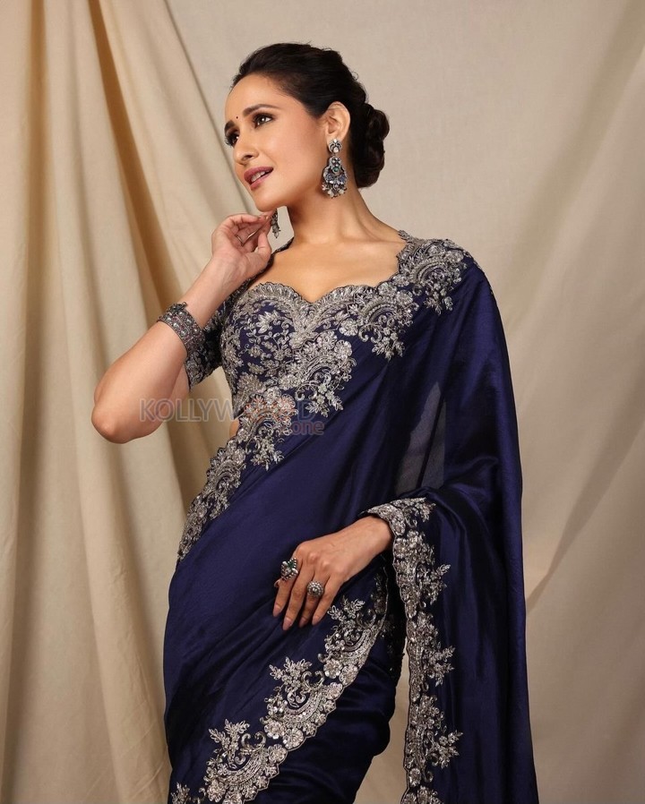 Pretty Actress Pragya Jaiswal in an Embroidered Navy Blue Saree Photos 02