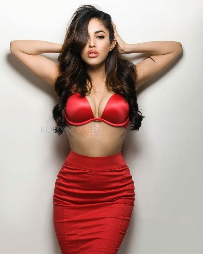 Priya Banerjee Hot Fhm Photoshoot Pictures