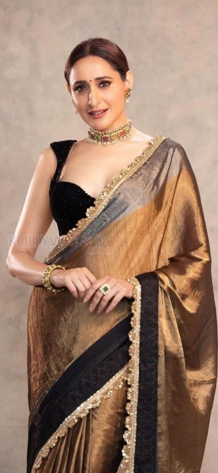 Radiating Beauty Pragya Jaiswal in a Glam Saree Photoshoot Pictures 02