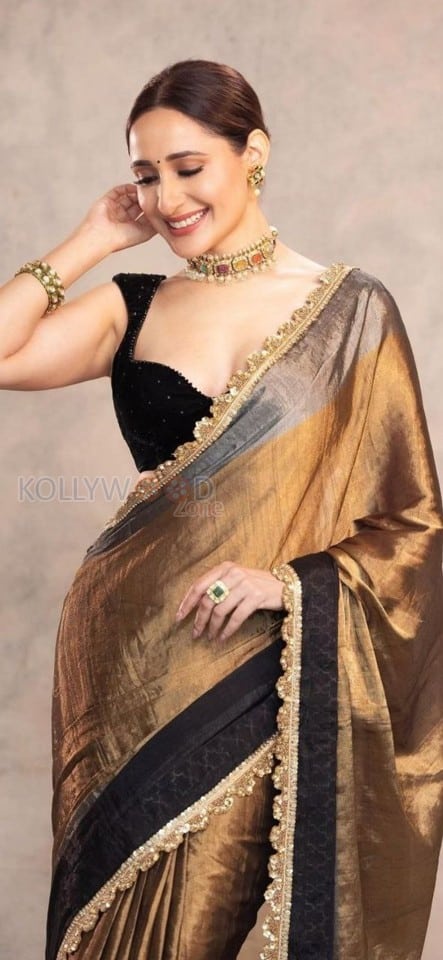 Radiating Beauty Pragya Jaiswal in a Glam Saree Photoshoot Pictures 03