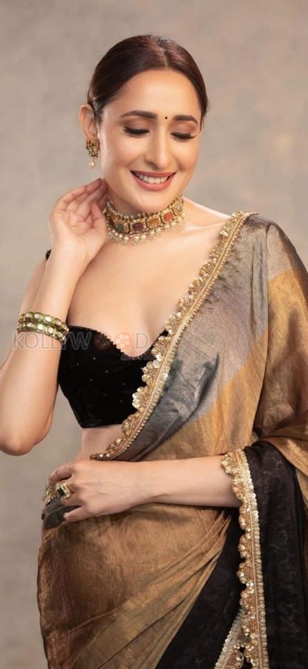 Radiating Beauty Pragya Jaiswal in a Glam Saree Photoshoot Pictures 04