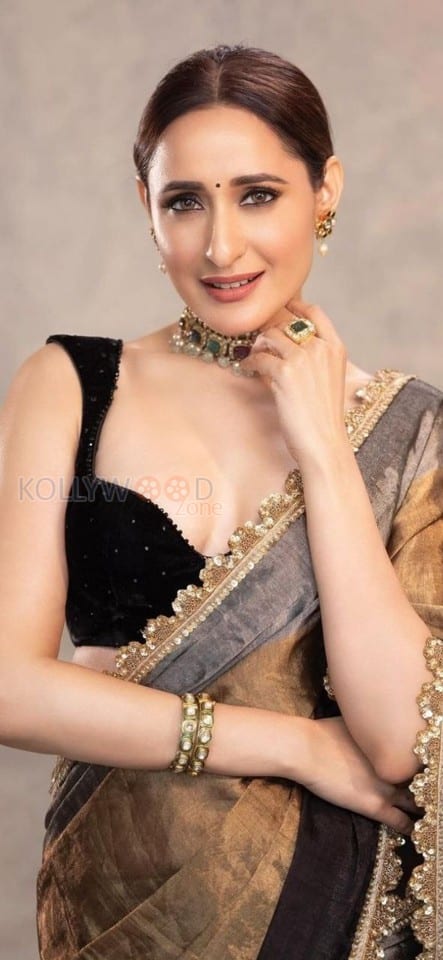 Radiating Beauty Pragya Jaiswal in a Glam Saree Photoshoot Pictures 06