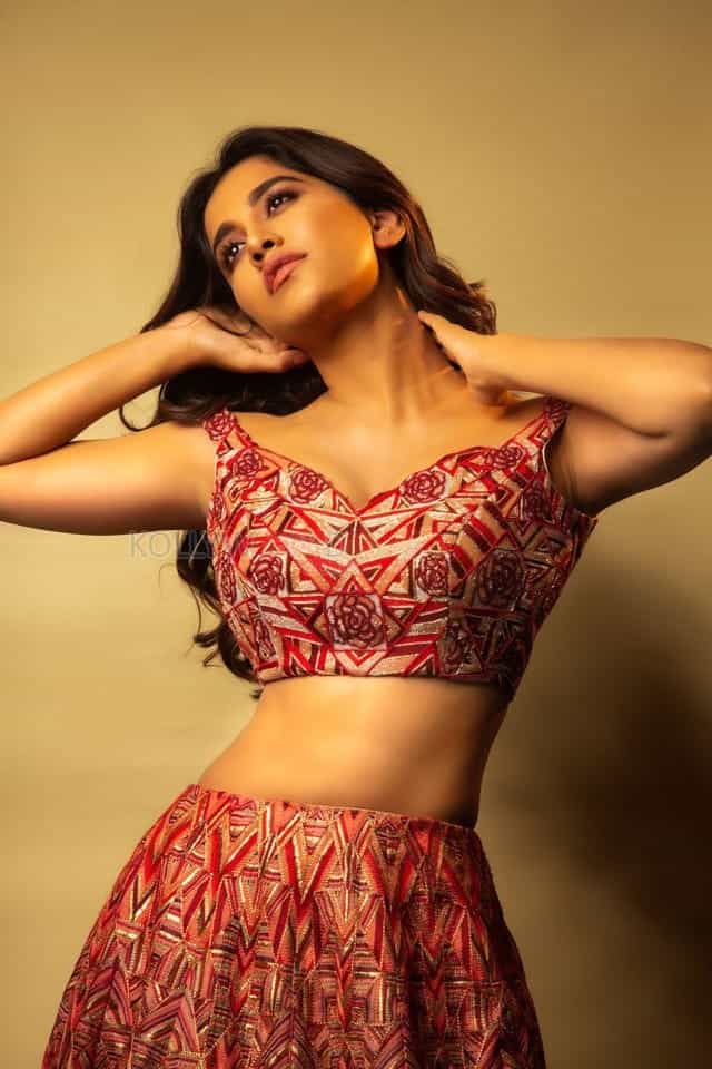 Sexy Heroine Nabha Natesh Pictures