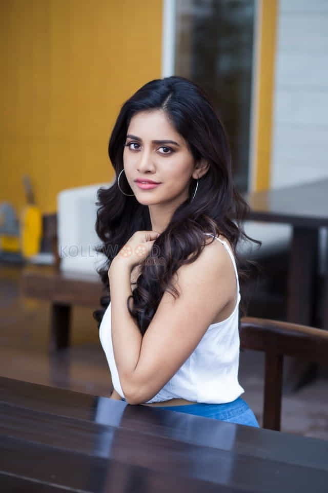 Sexy Nabha Natesh Photoshoot Pictures