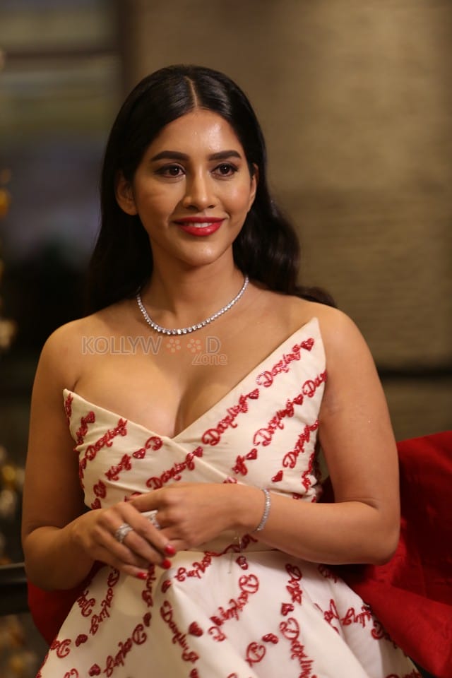 Sexy Nabha Natesh at Darling Movie Pre Release Event Pictures 18