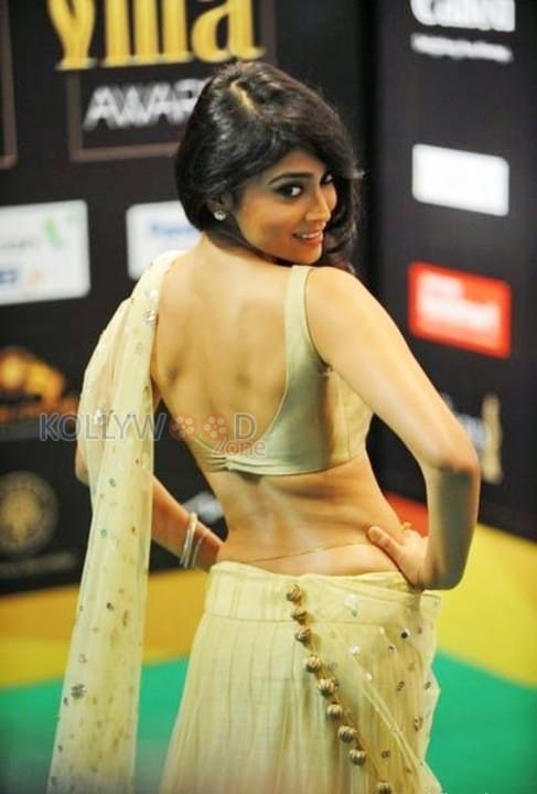 Sexy Shriya Saran At Iifa Stills