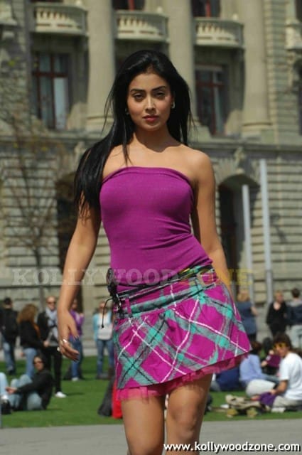 Sexy Shriya Saran In Don Seenu Movie Stills