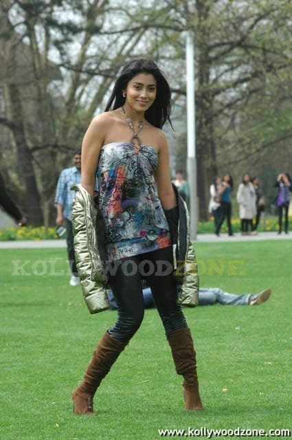 Sexy Shriya Saran In Don Seenu Movie Stills