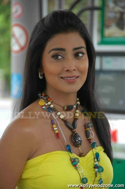 Sexy Shriya Saran In Don Seenu Movie Stills