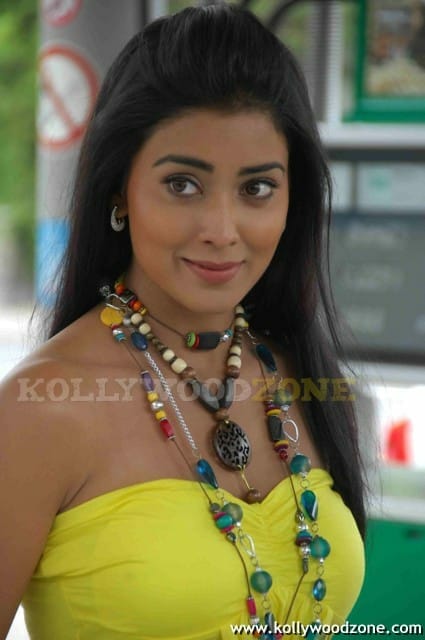 Sexy Shriya Saran In Don Seenu Movie Stills