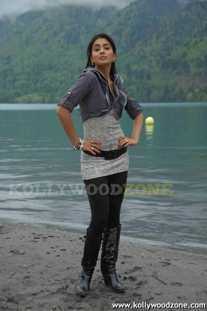 Sexy Shriya Saran In Don Seenu Movie Stills