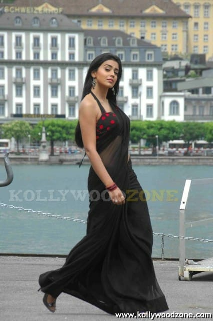 Sexy Shriya Saran In Don Seenu Movie Stills