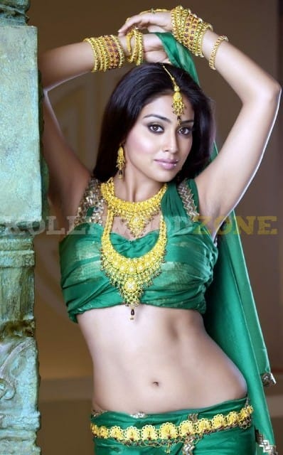 Sexy Shriya Saran Stills