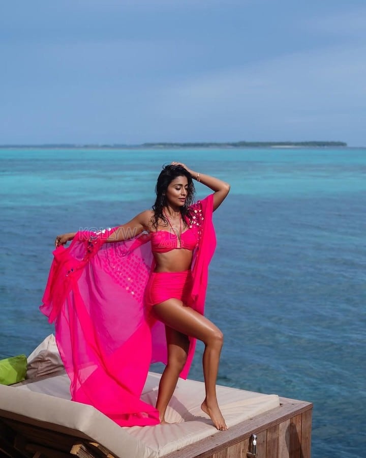 Sexy Siren Shriya Saran Holiday Bikini Photos 06