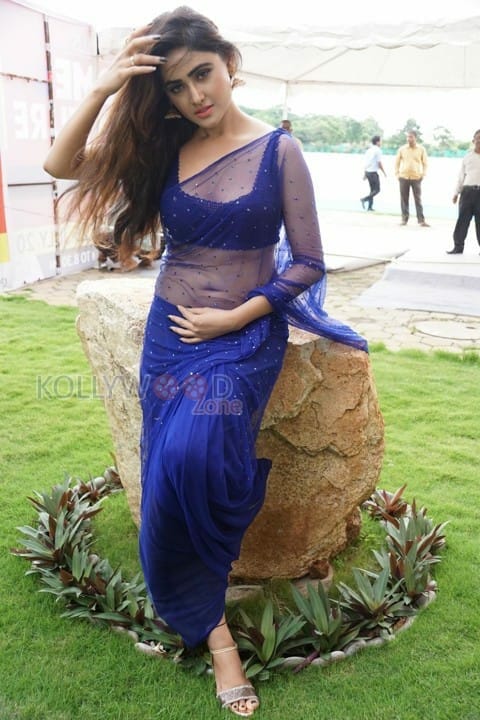 Sexy Sony Charishta Hot Spicy Saree Photos