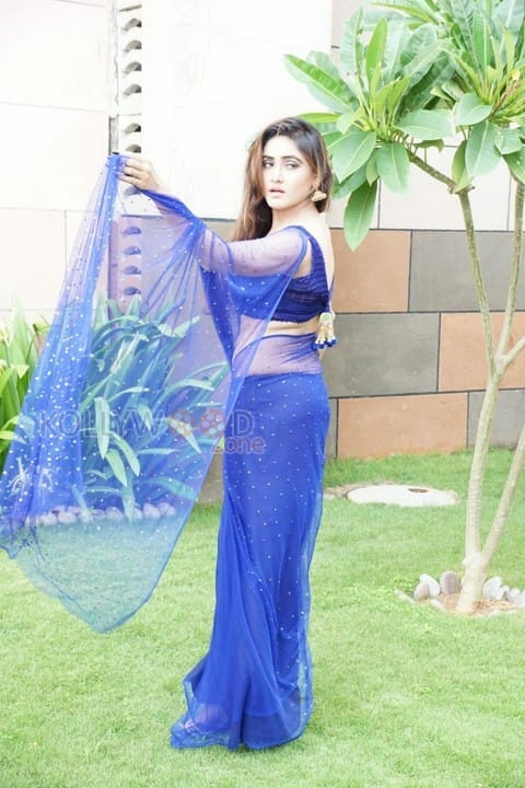 Sexy Sony Charishta Hot Spicy Saree Photos