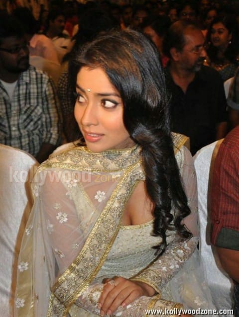 Shriya Saran Deep Cleavage Picture