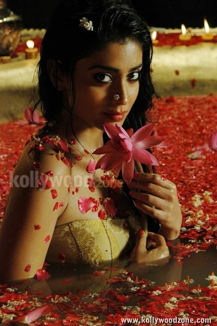 Shriya Saran Hot Pictures In Chandra Movie