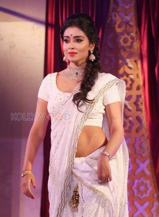 Shriya Saran Hot Saree Photos