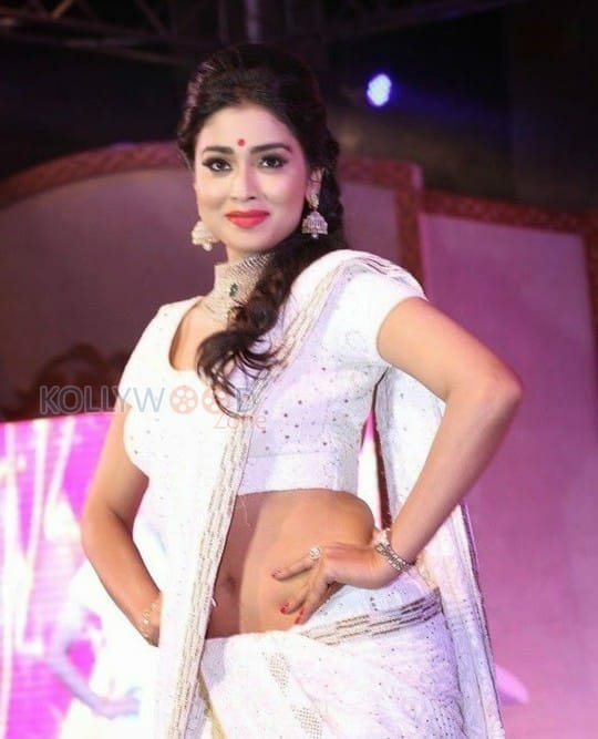 Shriya Saran Hot Saree Photos