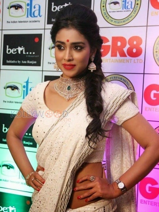 Shriya Saran Hot Saree Photos