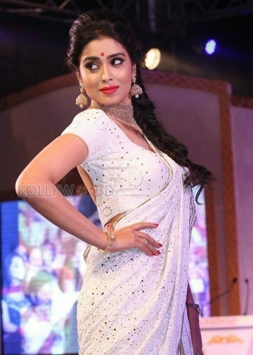 Shriya Saran Hot Saree Photos